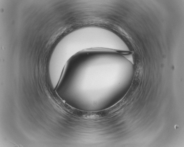 X0000087750452200705211041