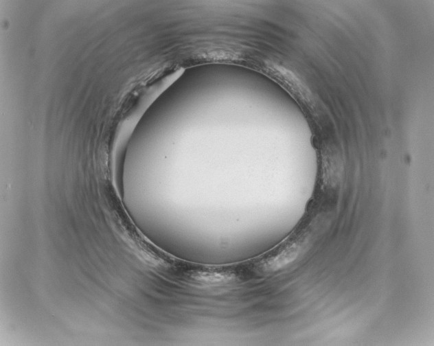 X0000087750453200705211041