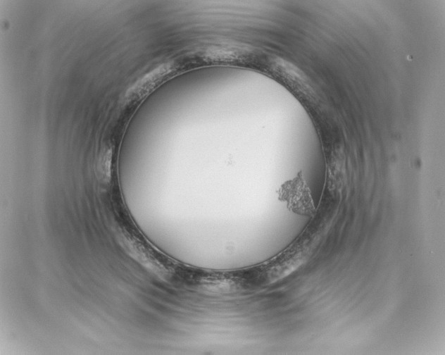 X0000087750454200705211041