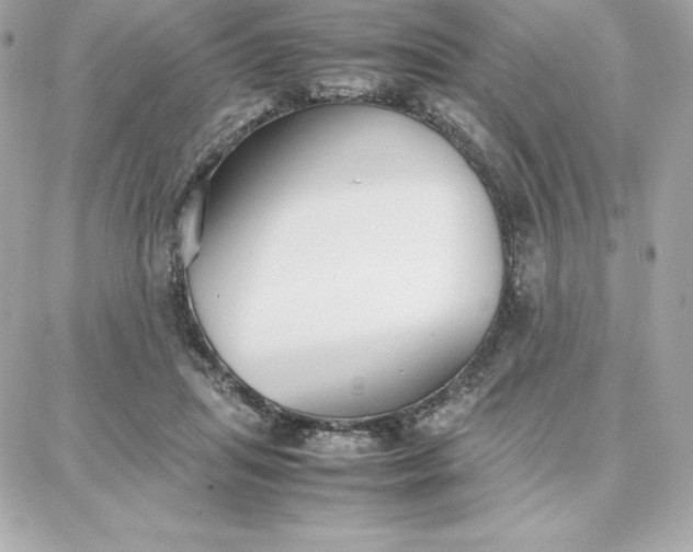 X0000087750455200705211041