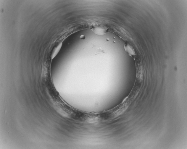 X0000087750456200705211041