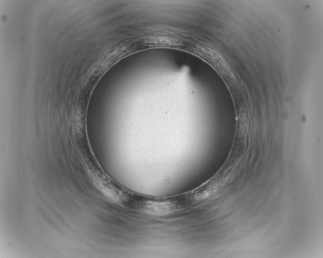 X0000087750457200705211041