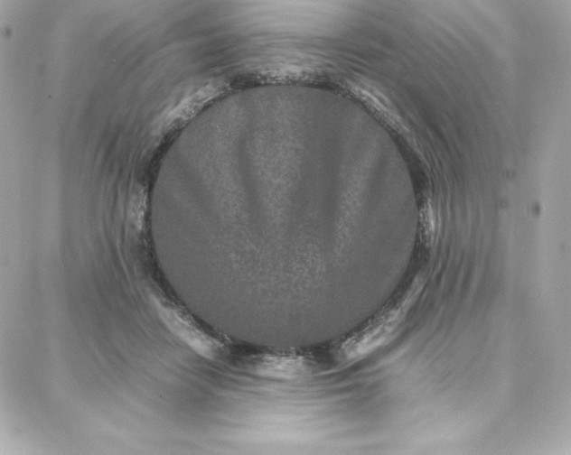 X0000087750458200705211041