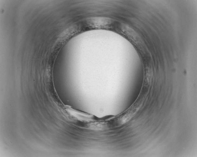 X0000087750461200705211041