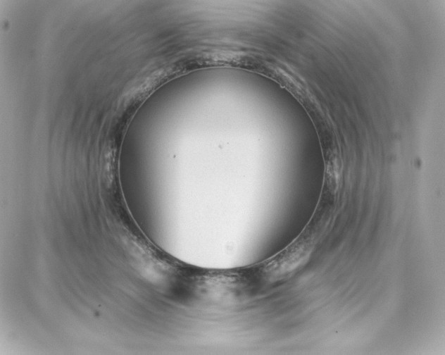 X0000087750462200705211041