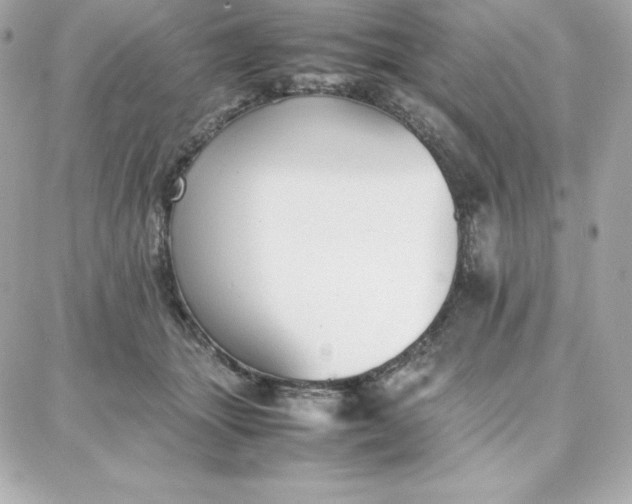 X0000087750463200705211041