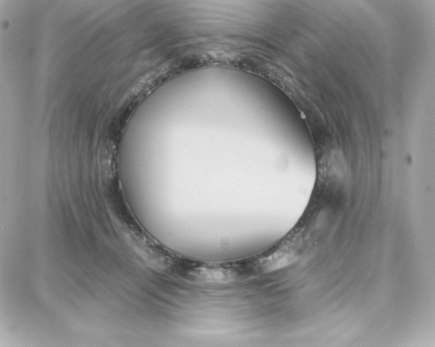 X0000087750464200705211041