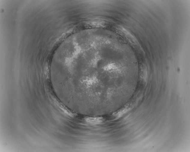 X0000087750465200705211041