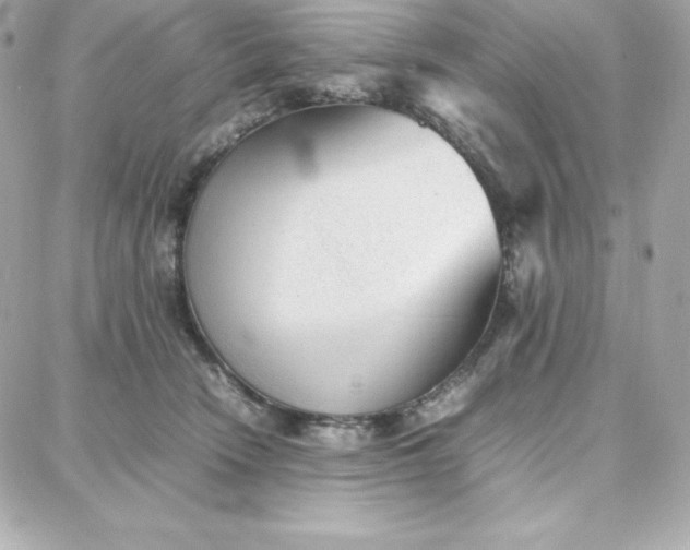 X0000087750466200705211041