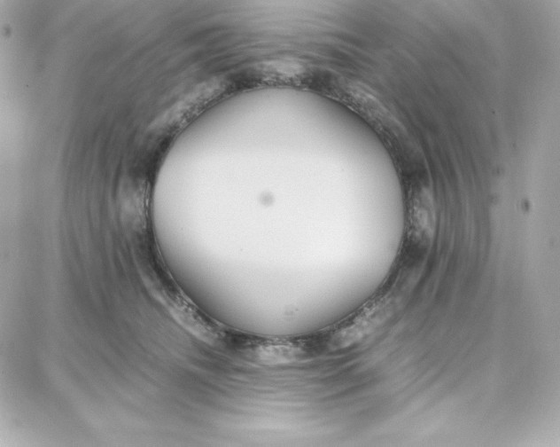 X0000087750468200705211041