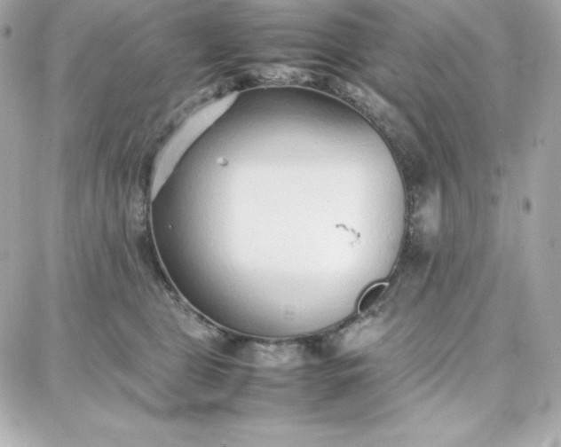 X0000087750469200705211042