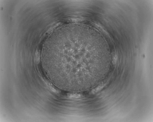 X0000087750471200705211042