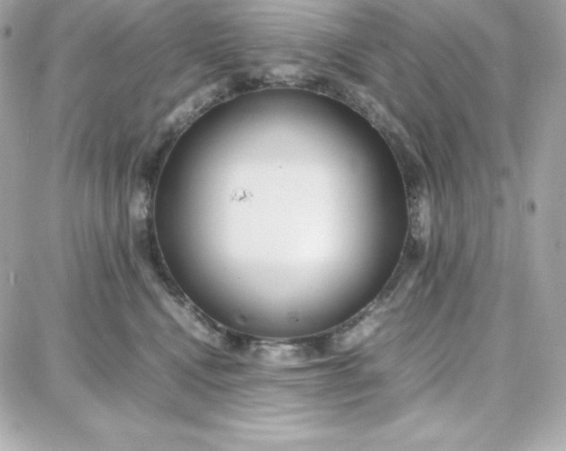 X0000087750472200705211042