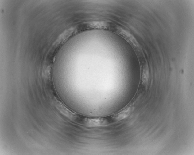 X0000087750473200705211042