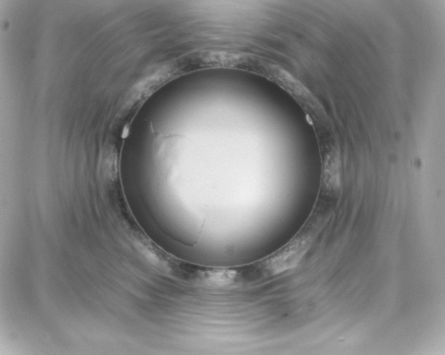 X0000087750474200705211042