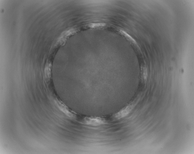 X0000087750475200705211042