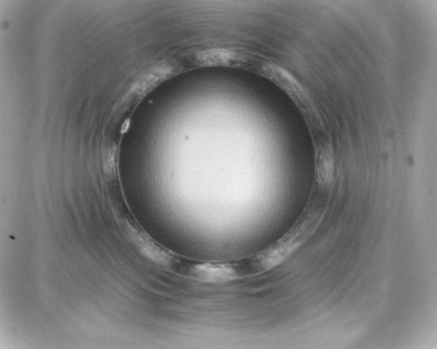 X0000087750477200705211042