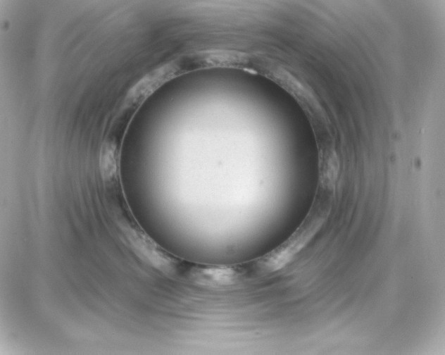 X0000087750478200705211042