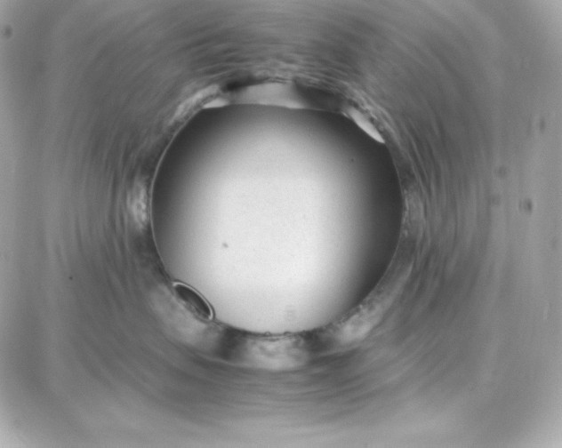 X0000087750479200705211042