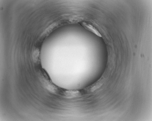 X0000087750480200705211042