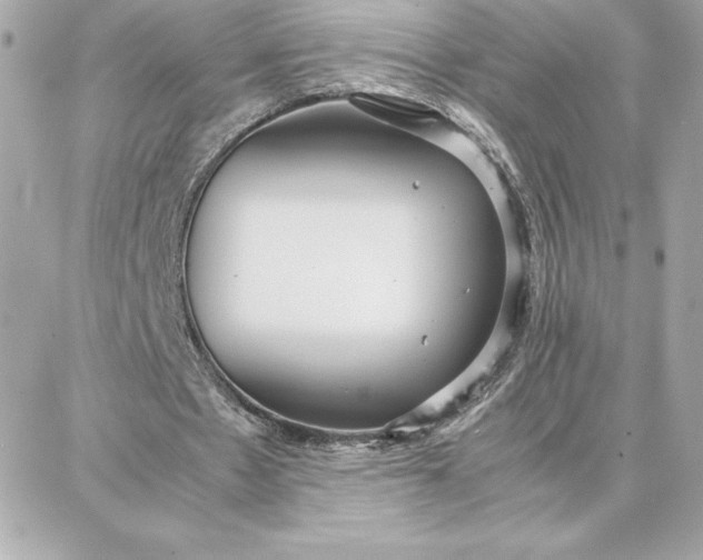 X0000087750481200705211041