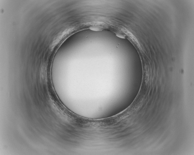 X0000087750482200705211041