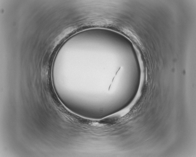 X0000087750483200705211041