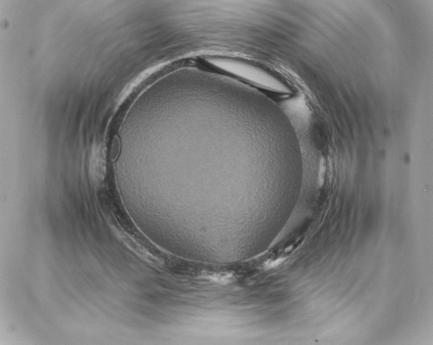 X0000087750484200705211041