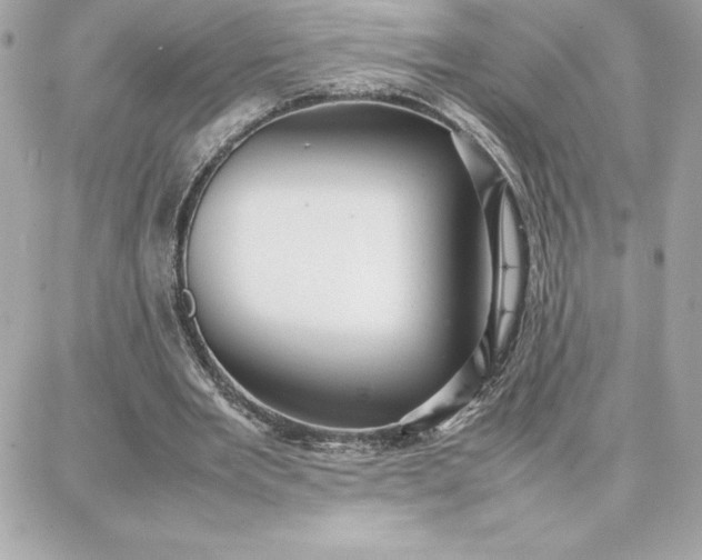 X0000087750485200705211041