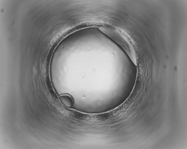 X0000087750487200705211041