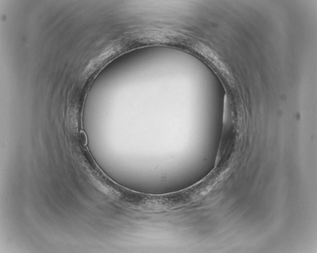 X0000087750489200705211041