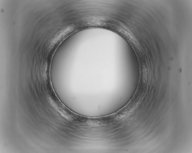 X0000087750490200705211041