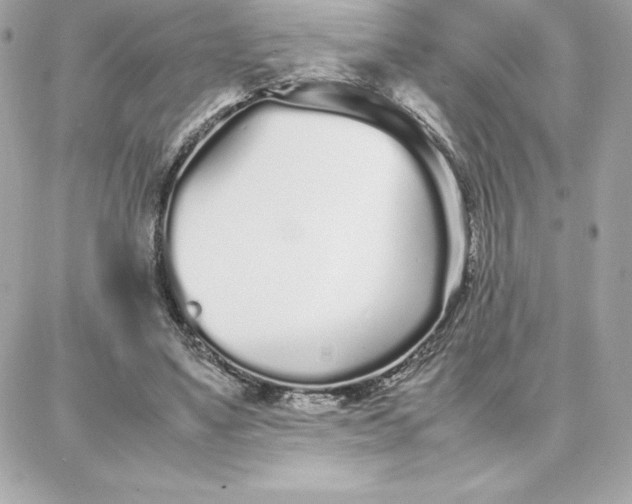 X0000087750491200705211041