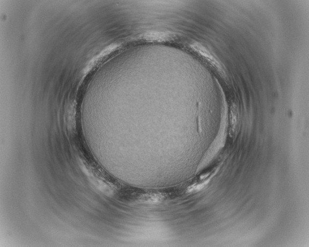 X0000087750492200705211041