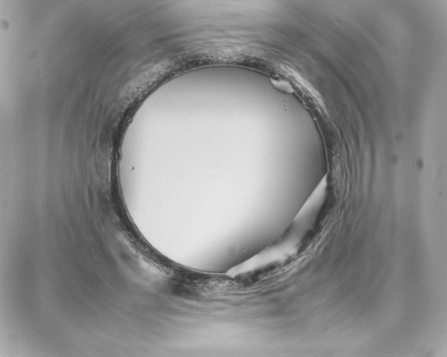 X0000087750493200705211041