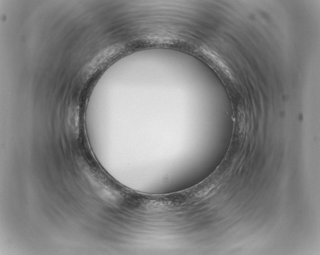 X0000087750494200705211041