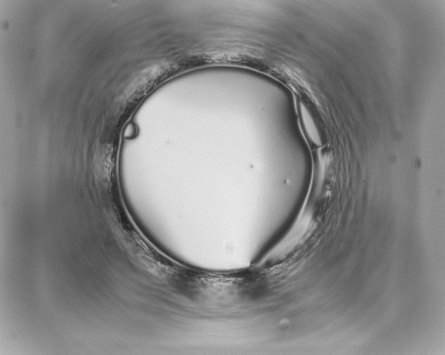 X0000087750495200705211041