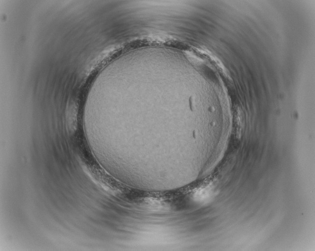 X0000087750496200705211041