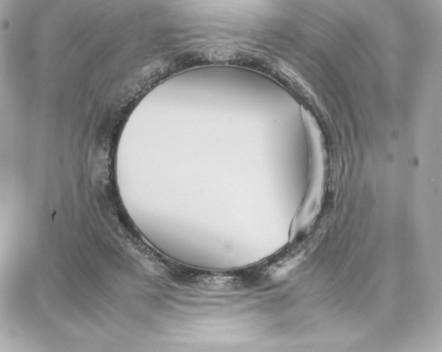 X0000087750497200705211041