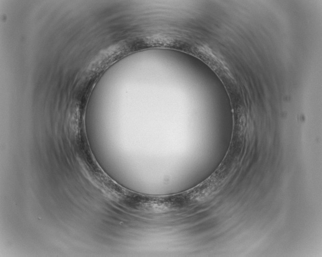 X0000087750498200705211041