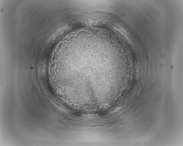 X0000087750499200705211041