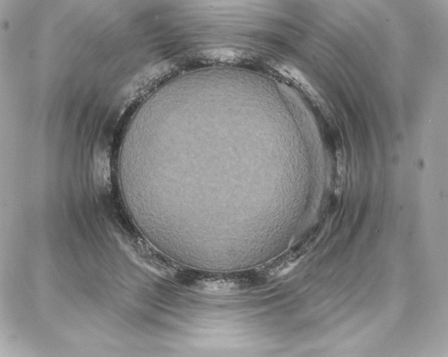 X0000087750500200705211041