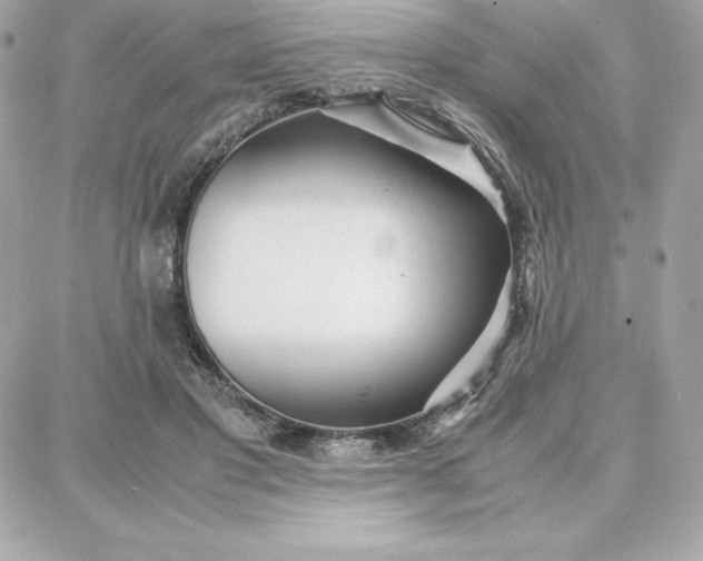 X0000087750501200705211041