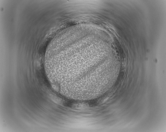 X0000087750503200705211041