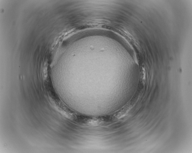 X0000087750504200705211041