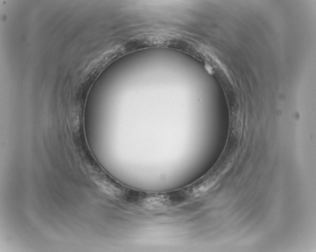 X0000087750505200705211041