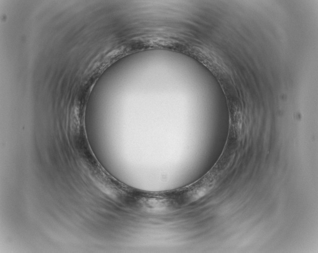 X0000087750506200705211041