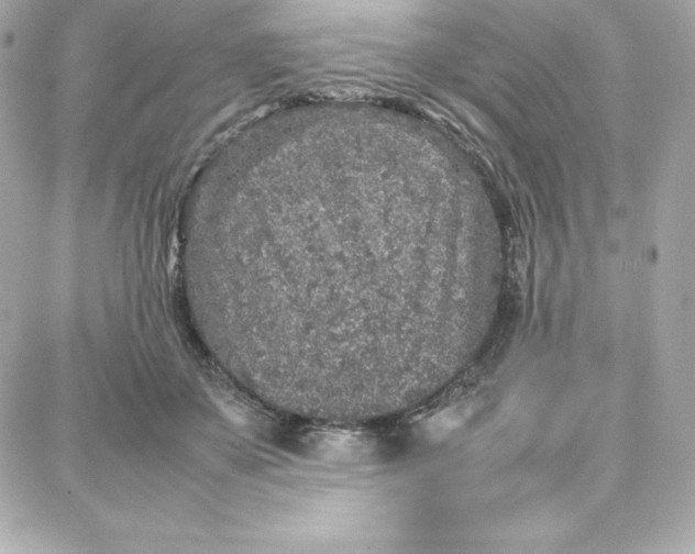 X0000087750507200705211040