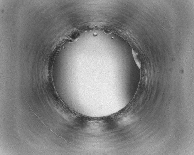 X0000087750508200705211040