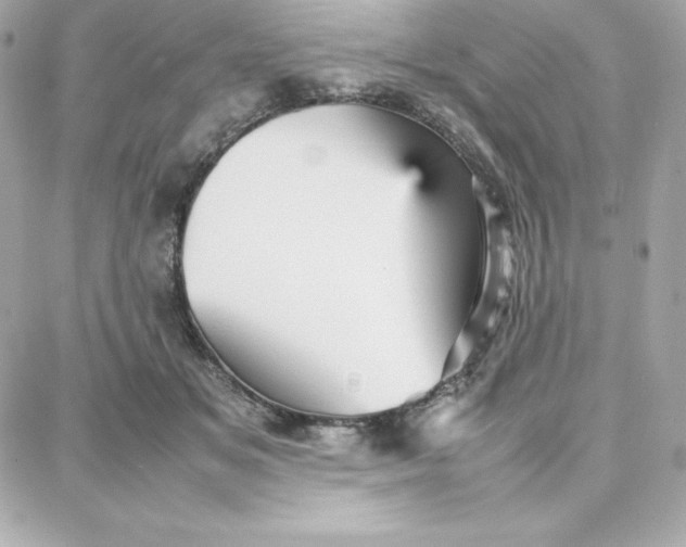 X0000087750509200705211040